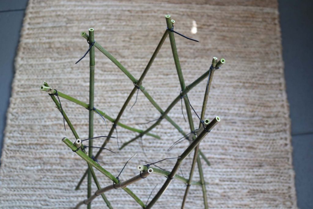 zucchinileiter Frau Meise