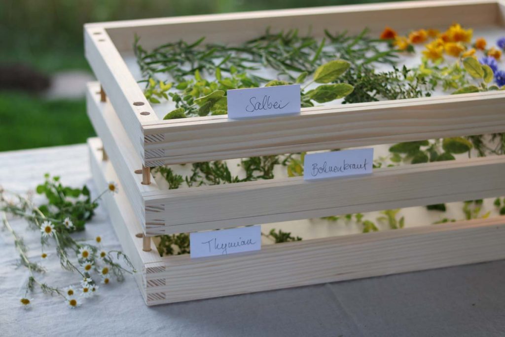 kräuter ernten und haltbar machen – Frau Meise